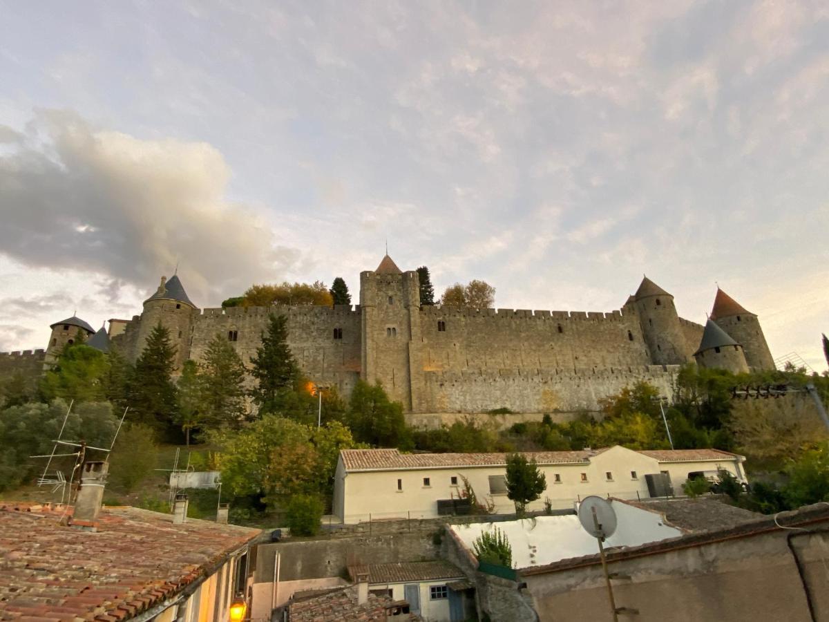 Au Pied De La Cite, T3 Au Calme Appartement Carcassonne Buitenkant foto