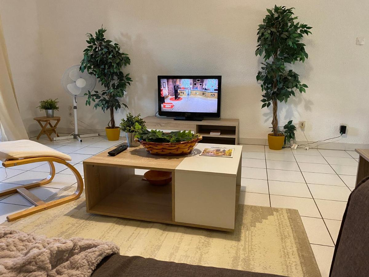 Au Pied De La Cite, T3 Au Calme Appartement Carcassonne Buitenkant foto